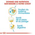 Visuel 5 sur 8
