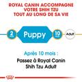 Visuel 6 sur 8