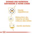 Visuel 6 sur 7
