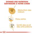 Visuel 3 sur 7