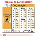 Visuel 5 sur 7