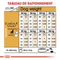 Visuel 6 sur 7