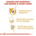 Visuel 4 sur 7