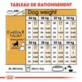 Visuel 6 sur 7