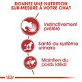 Visuel 4 sur 7