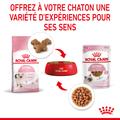 Visuel 7 sur 11