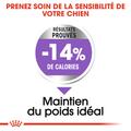 Visuel 6 sur 8