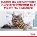 Visuel 10 sur 11
