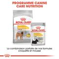 Visuel 3 sur 7