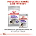 Visuel 6 sur 7