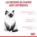 Visuel 3 sur 10