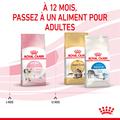 Visuel 6 sur 10