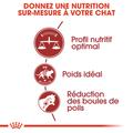 Visuel 4 sur 7