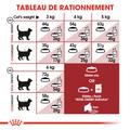 Visuel 6 sur 7