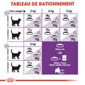 Visuel 6 sur 7