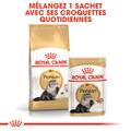 Visuel 5 sur 8
