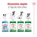 Visuel 6 sur 12