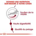 Visuel 5 sur 8