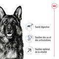 Visuel 4 sur 12