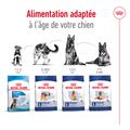 Visuel 5 sur 12