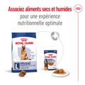 Visuel 6 sur 12