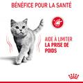 Visuel 3 sur 11