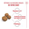 Visuel 2 sur 10
