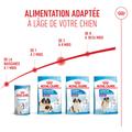 Visuel 5 sur 10