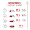 Visuel 7 sur 10