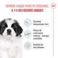 Visuel 9 sur 10