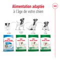 Visuel 5 sur 11