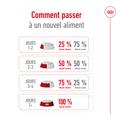 Visuel 8 sur 11