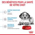 Visuel 2 sur 9