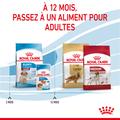 Visuel 5 sur 9