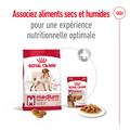 Visuel 4 sur 11