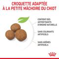 Visuel 5 sur 10