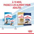 Visuel 6 sur 10