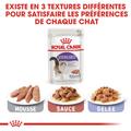 Visuel 3 sur 5