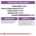 Visuel 5 sur 5