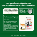 Visuel 3 sur 5