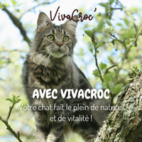 Visuel 2 sur 2