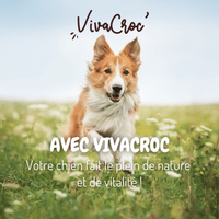 Visuel 7 sur 7