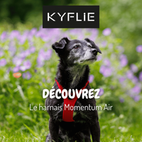 Visuel 5 sur 5