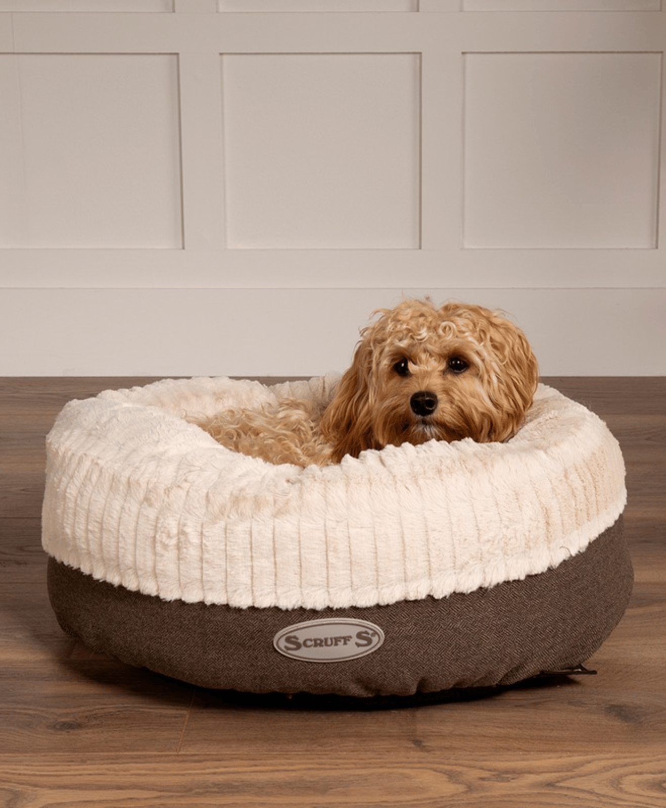 Petit chien au pelage bouclé beige reposant dans un panier rond en tissu Scruffs, posé sur un sol en bois