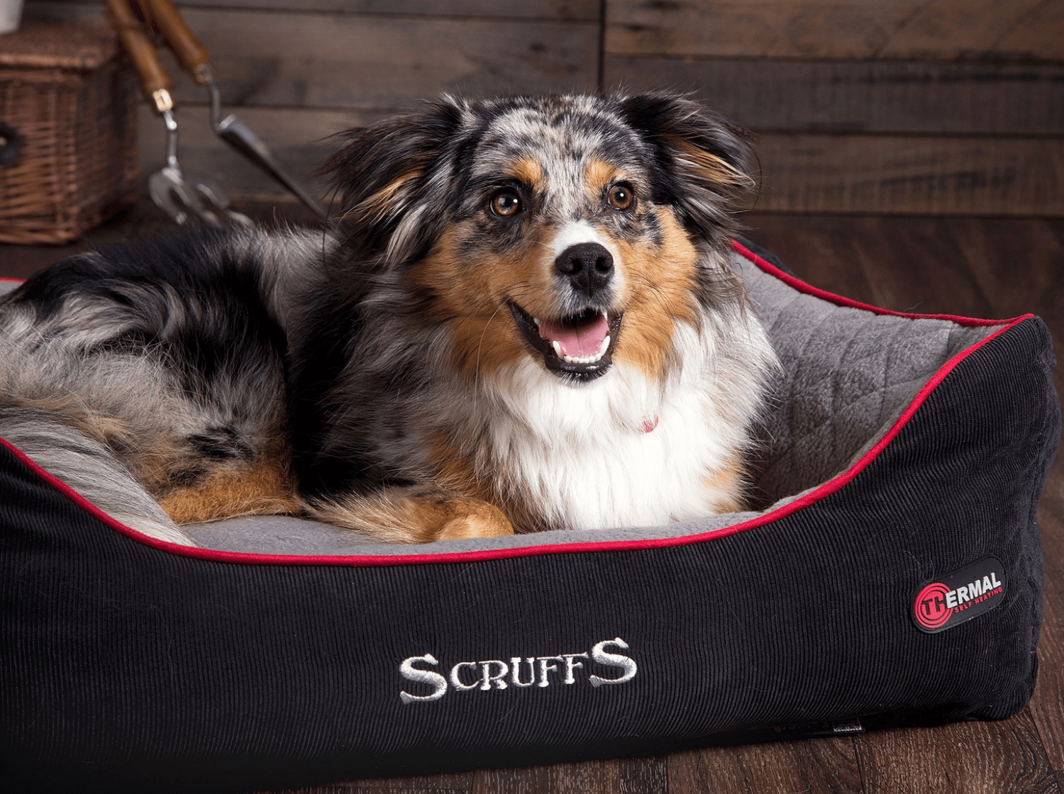 Chien au pelage tricolore allongé dans un panier Scruffs noir et gris avec bordure rouge
