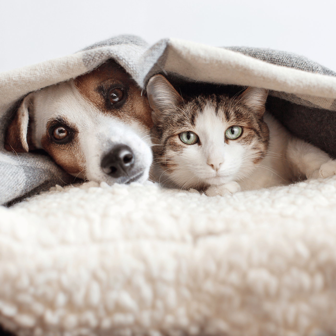 SHOPTHELOOK_2026_01_SOLDES HIVER