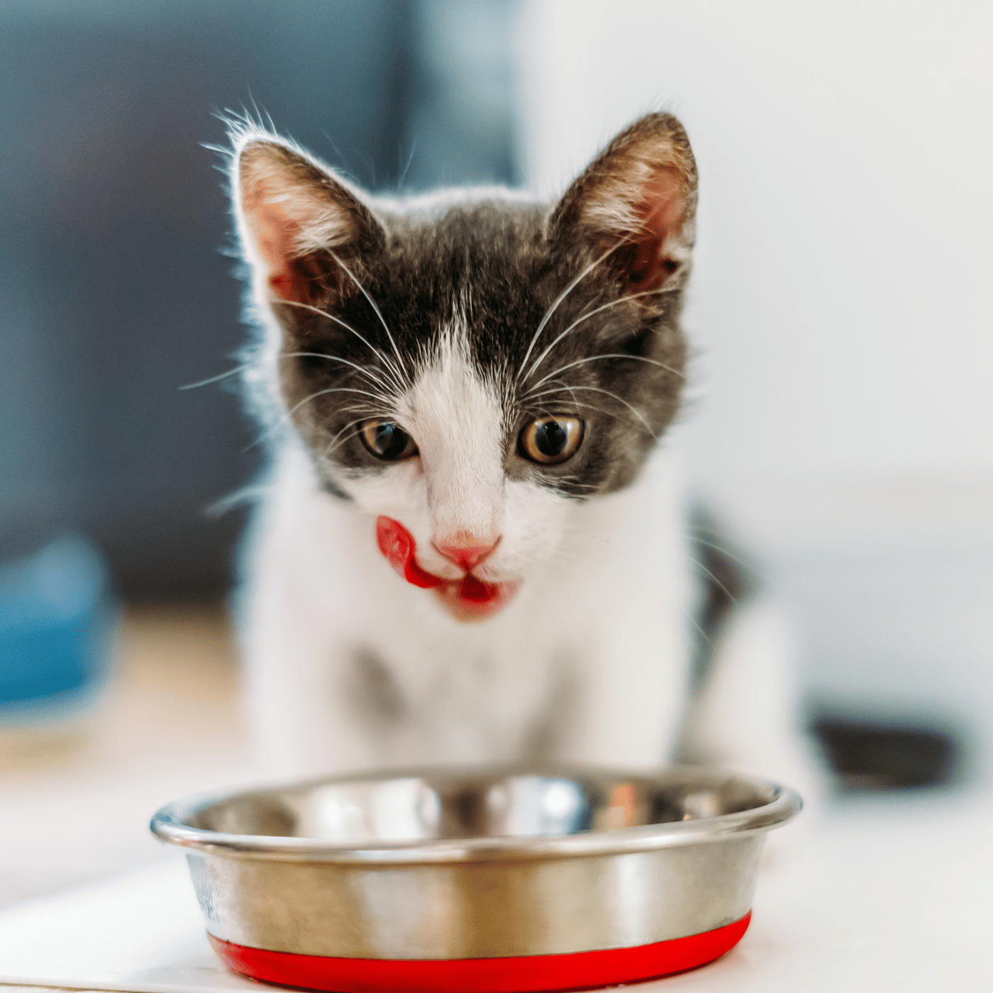 SHOPTHELOOK_2026_01_OP HUMIDE