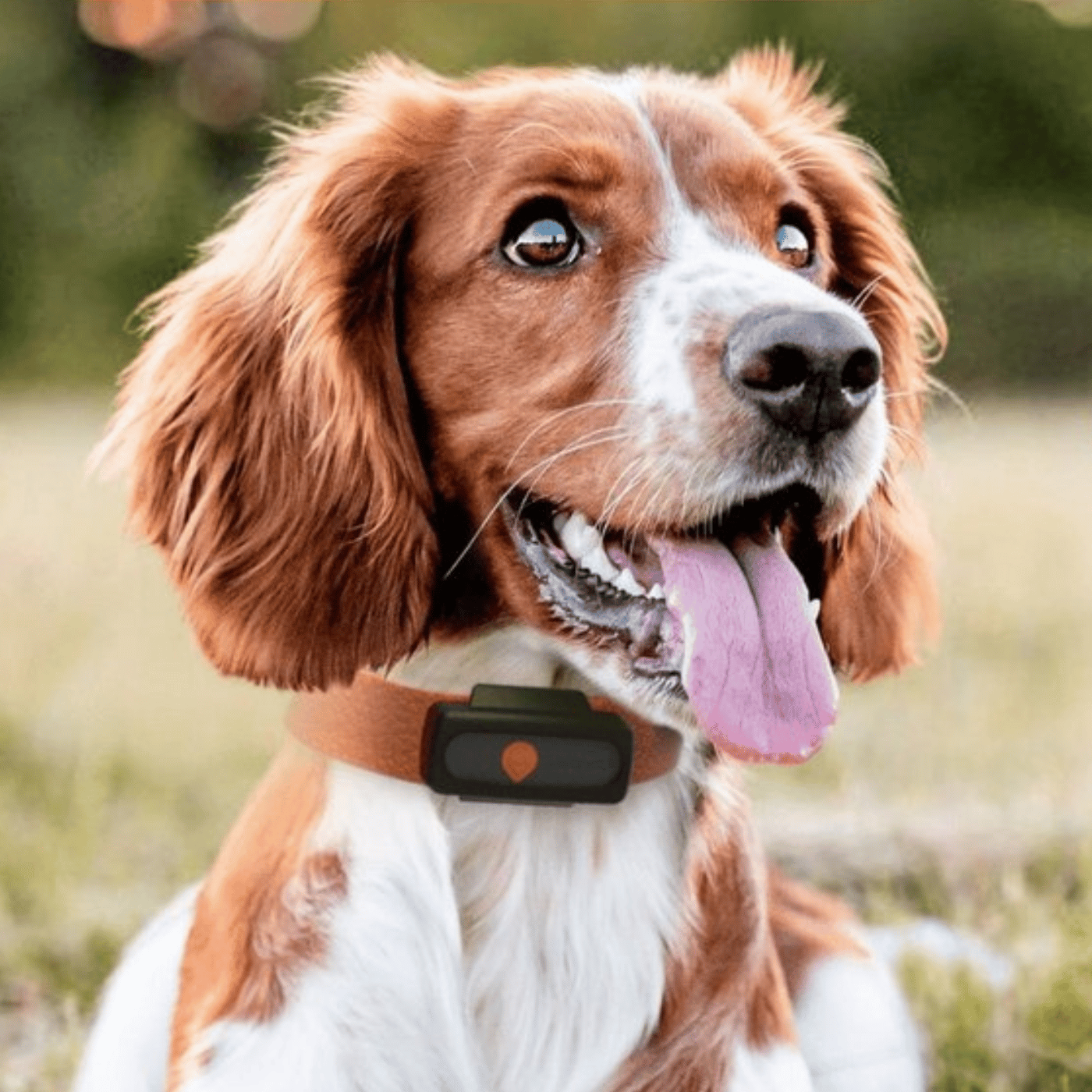 SHOPTHELOOK_2026_03_OP WEENECT