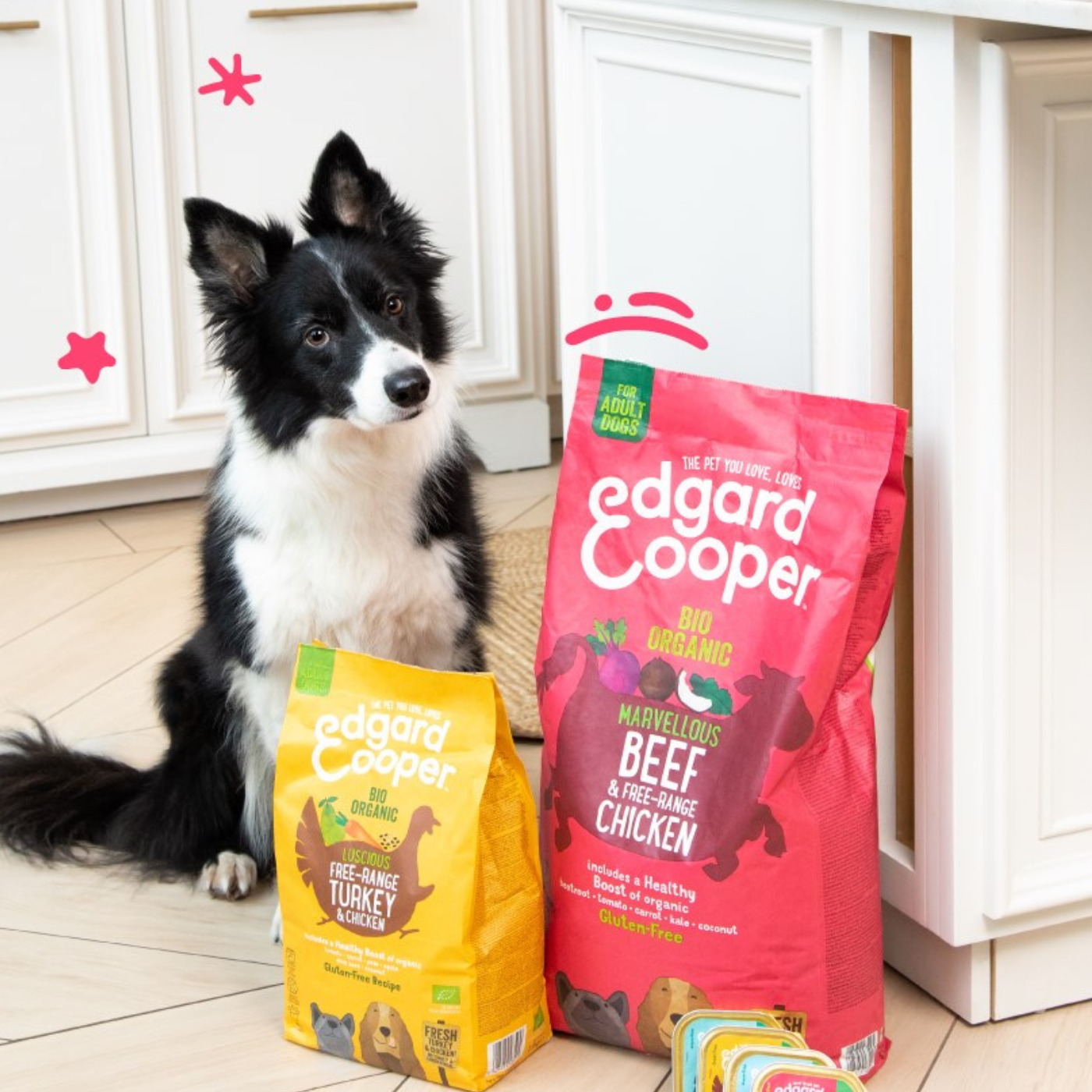 Un chien qui mange dans sa gamelle