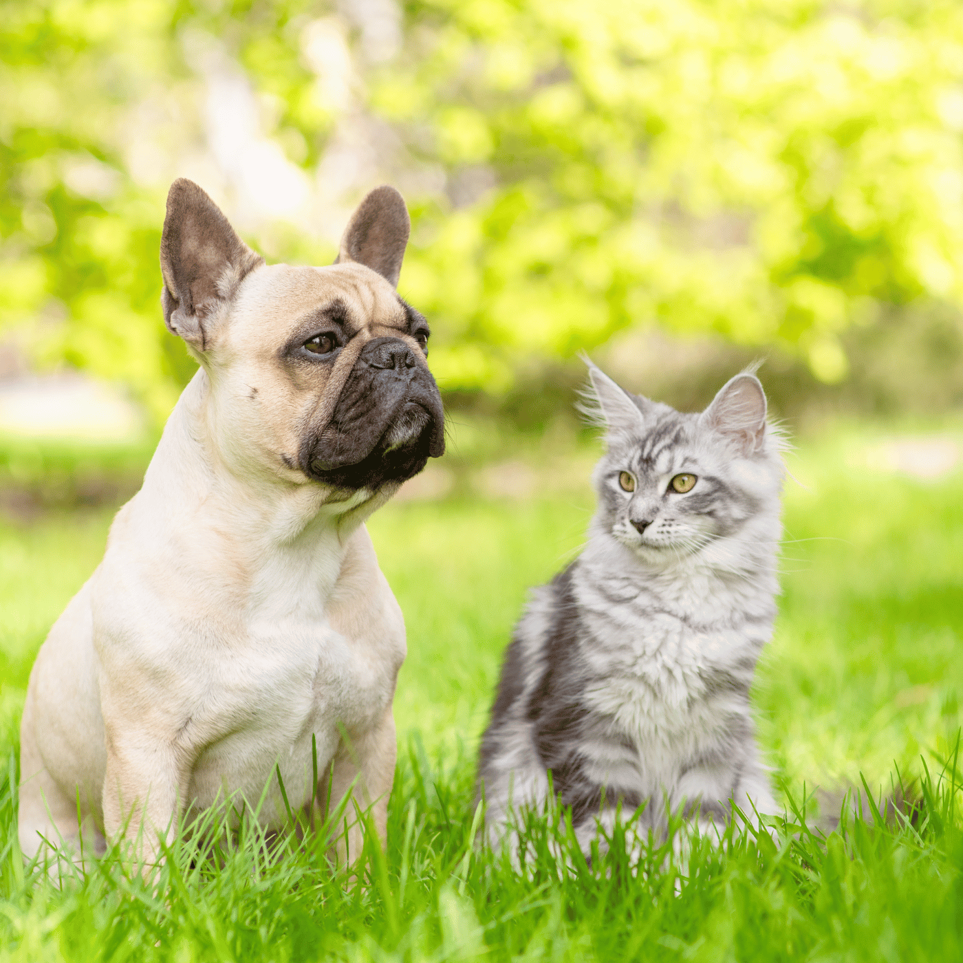 SHOPTHELOOK_2026_04_OP ANTIPARA_HOMEPAGE